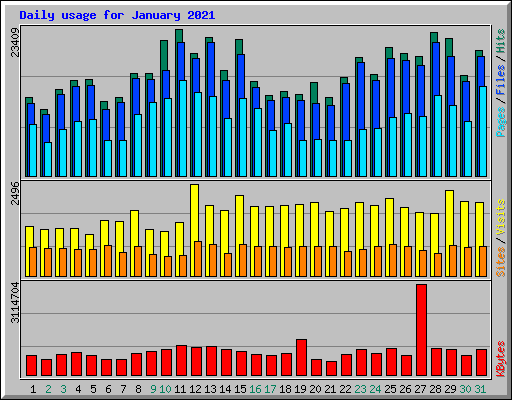 Daily usage for January 2021