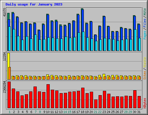 Daily usage for January 2023