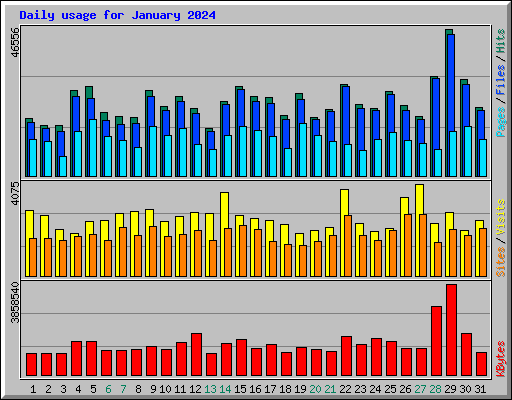 Daily usage for January 2024