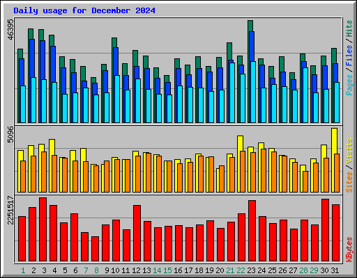 Daily usage for December 2024