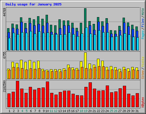 Daily usage for January 2025