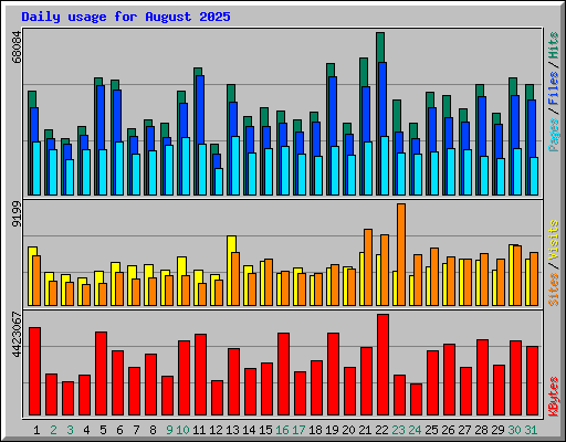 Daily usage for August 2025