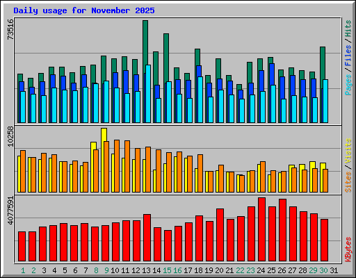 Daily usage for November 2025