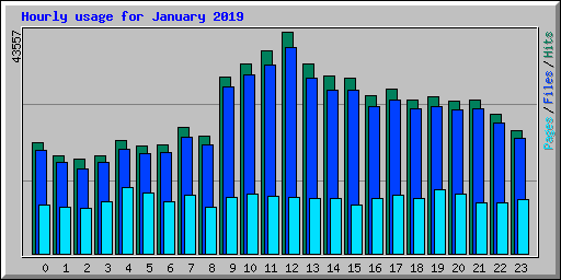 Hourly usage for January 2019