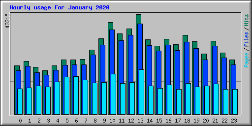 Hourly usage for January 2020