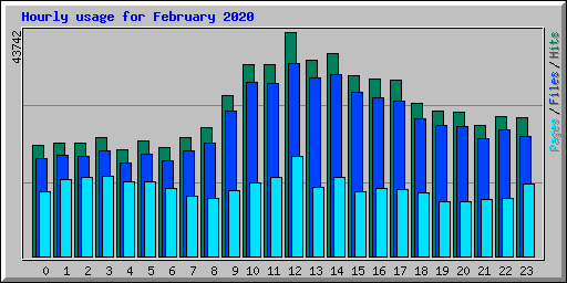 Hourly usage for February 2020