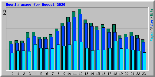 Hourly usage for August 2020