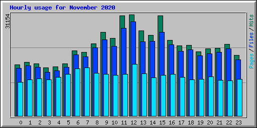 Hourly usage for November 2020