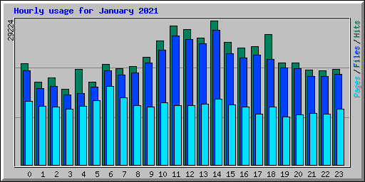 Hourly usage for January 2021