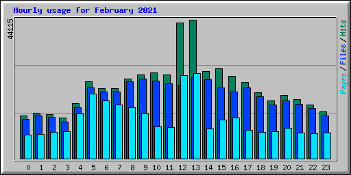 Hourly usage for February 2021