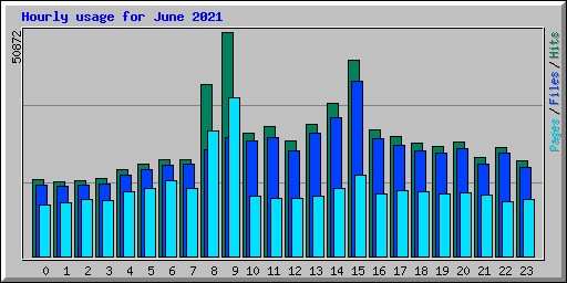 Hourly usage for June 2021