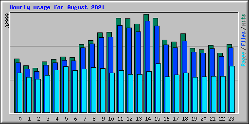 Hourly usage for August 2021