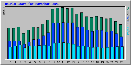Hourly usage for November 2021