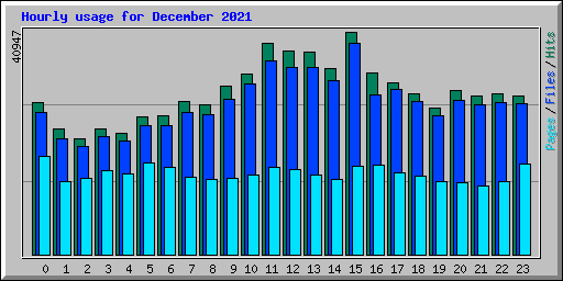 Hourly usage for December 2021