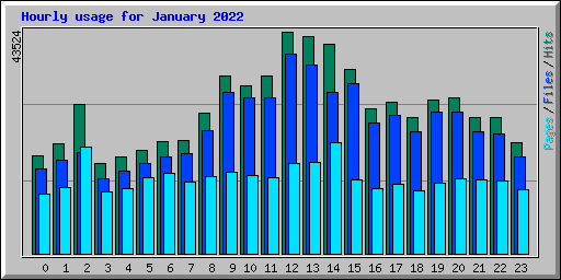 Hourly usage for January 2022