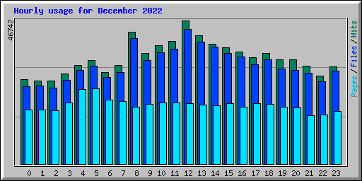 Hourly usage for December 2022