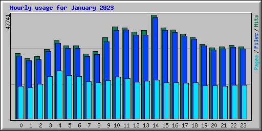 Hourly usage for January 2023