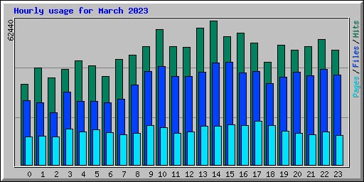 Hourly usage for March 2023