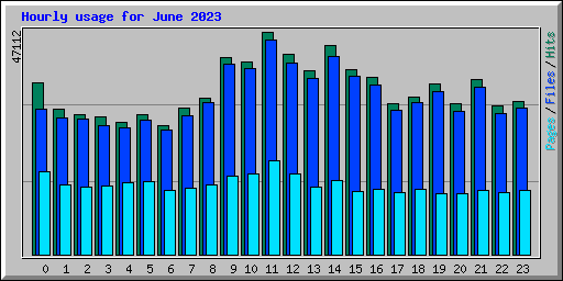 Hourly usage for June 2023