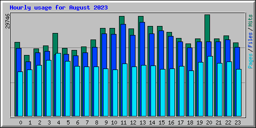 Hourly usage for August 2023