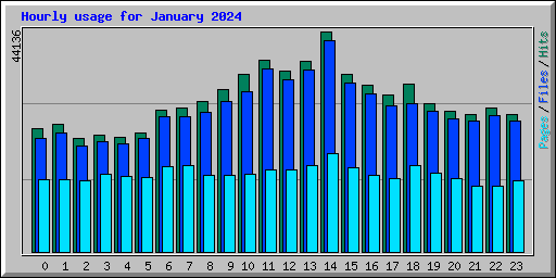 Hourly usage for January 2024