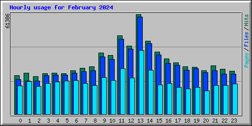 Hourly usage for February 2024