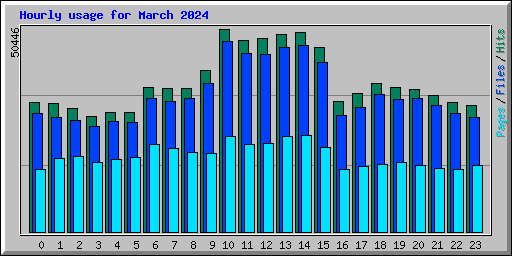 Hourly usage for March 2024
