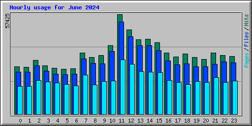 Hourly usage for June 2024
