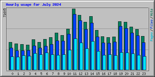 Hourly usage for July 2024