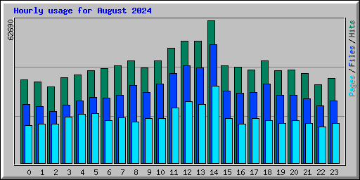 Hourly usage for August 2024