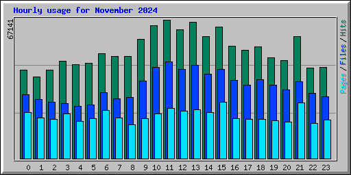 Hourly usage for November 2024