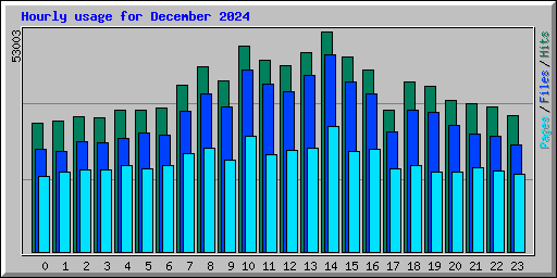 Hourly usage for December 2024