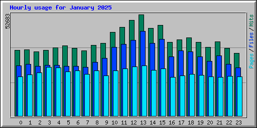 Hourly usage for January 2025