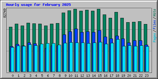 Hourly usage for February 2025