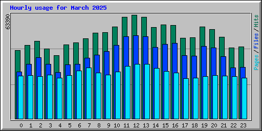 Hourly usage for March 2025