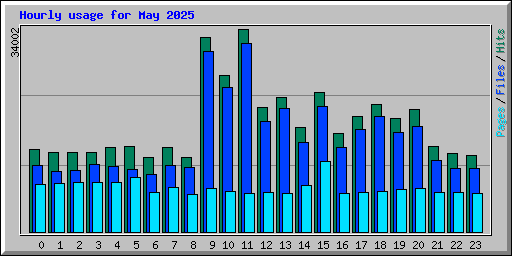Hourly usage for May 2025