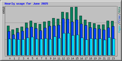 Hourly usage for June 2025