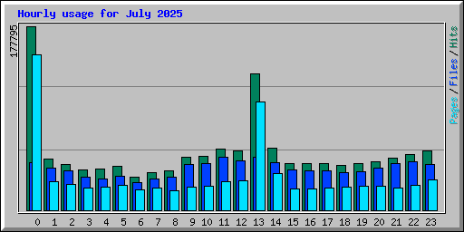 Hourly usage for July 2025