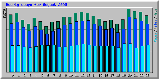 Hourly usage for August 2025