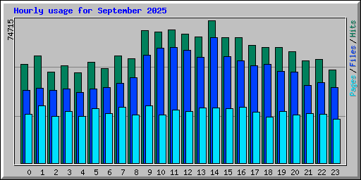 Hourly usage for September 2025