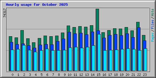 Hourly usage for October 2025