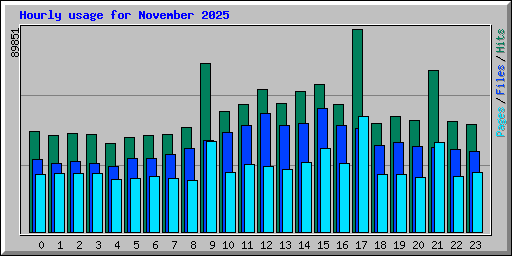 Hourly usage for November 2025