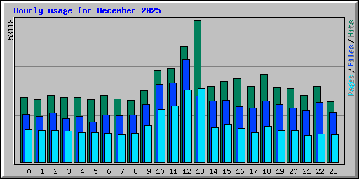 Hourly usage for December 2025